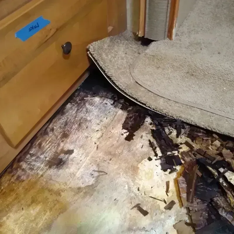 Wood Floor Water Damage in Hustisford, WI